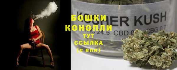 дурь Алзамай