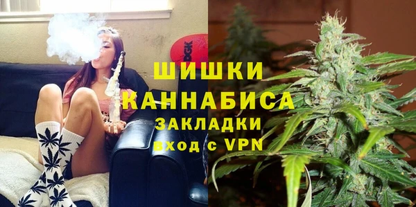 дурь Алзамай