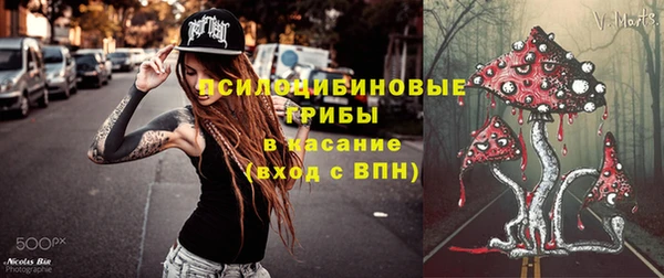винт Алексеевка