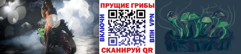 Галлюциногенные грибы MAGIC MUSHROOMS  Чёрмоз 