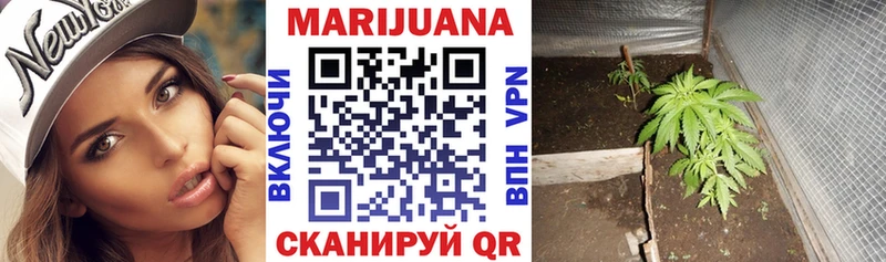 Канабис план Чёрмоз